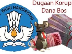 Dugaan Penyimpangan Dana Bos di SDN 49 Pagar Alam: Rekayasa Laporan, Penyalahgunaan Wewenang, hingga Indikasi KKN: Wali Kota Diminta Bertindak Tegas