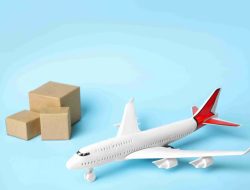 Pilih Express atau Economy? Trik Tepat Waktu Saat Kirim Paket Ke Luar Negeri