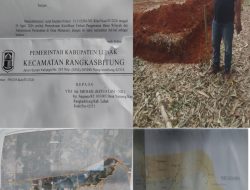 LSM-NIL Temukan Indikasi Kejanggalan Administrasi Lahan 2 Hektar di Perbatasan Lebak-Serang, Camat Rangkasbitung Beri Jawaban Normatif